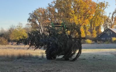 Testbeitrag Förderverein